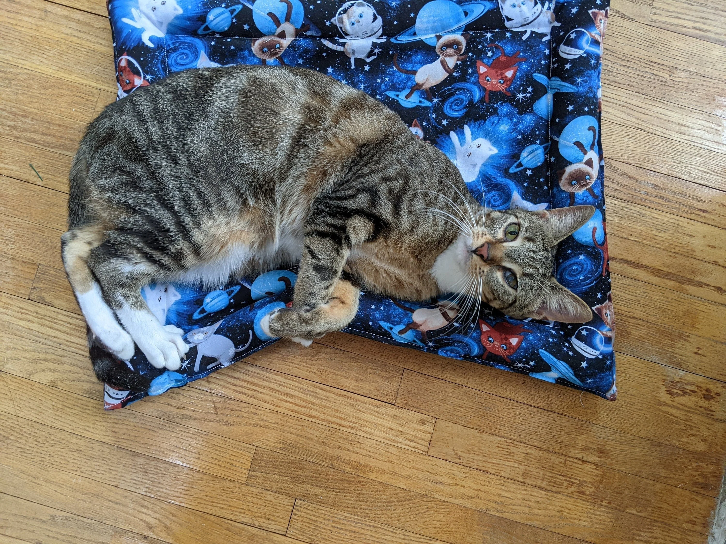Catnip & Silvervine Filled Cat Bed - Coco Cloud grey - Image 5